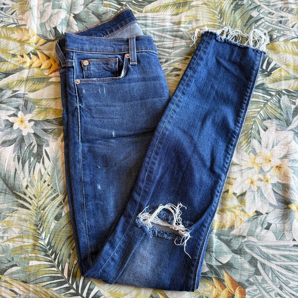 Hudson Skinny Ripped Jeans